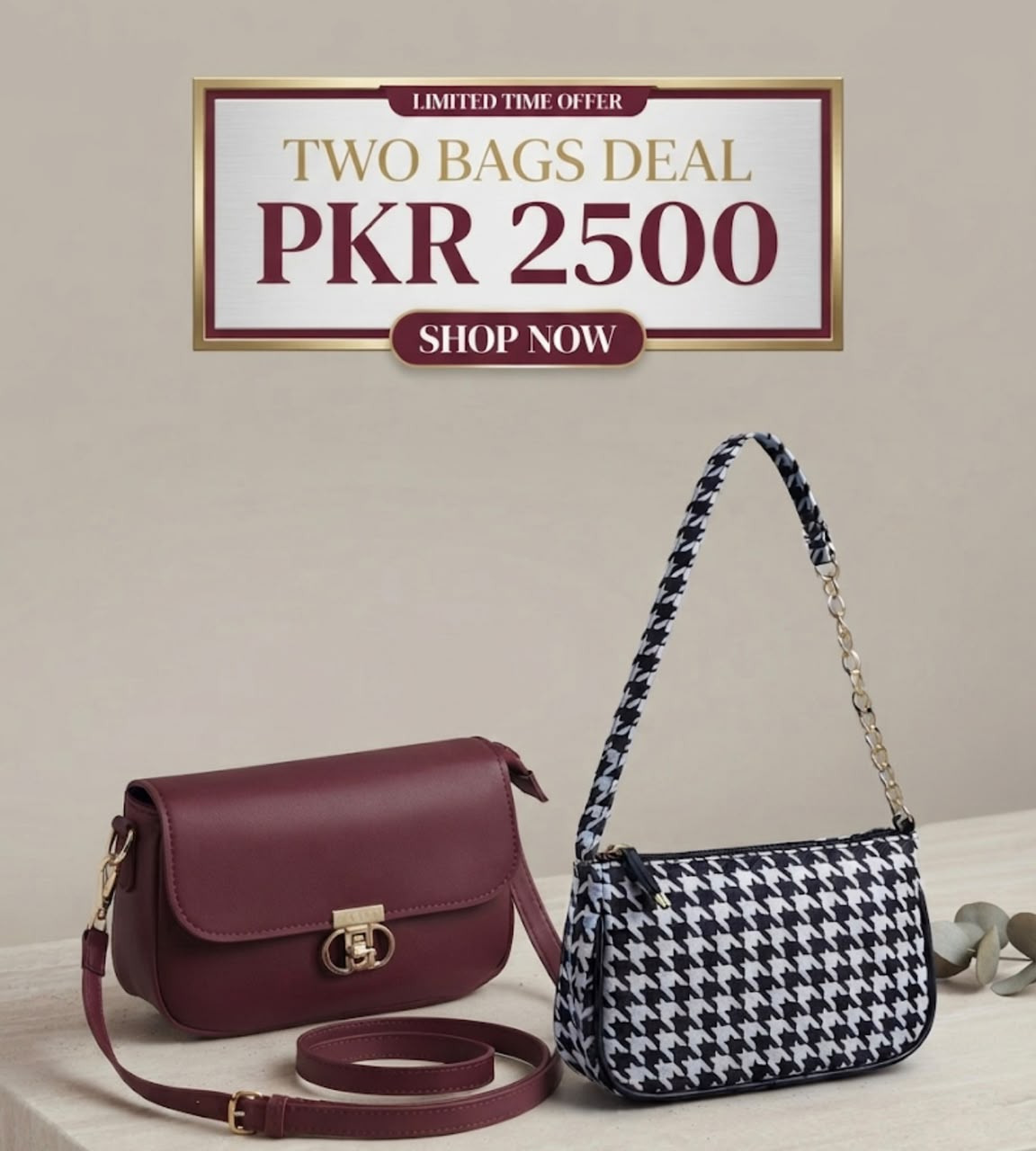 Deal 3 : Two CrossBody Bags
